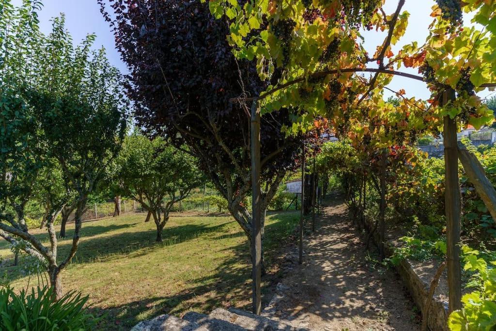 Quinta De Villa Franca - Douro Пезу-да-Регуа Экстерьер фото